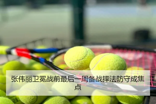 张伟丽卫冕战前最后一周备战摔法防守成焦点